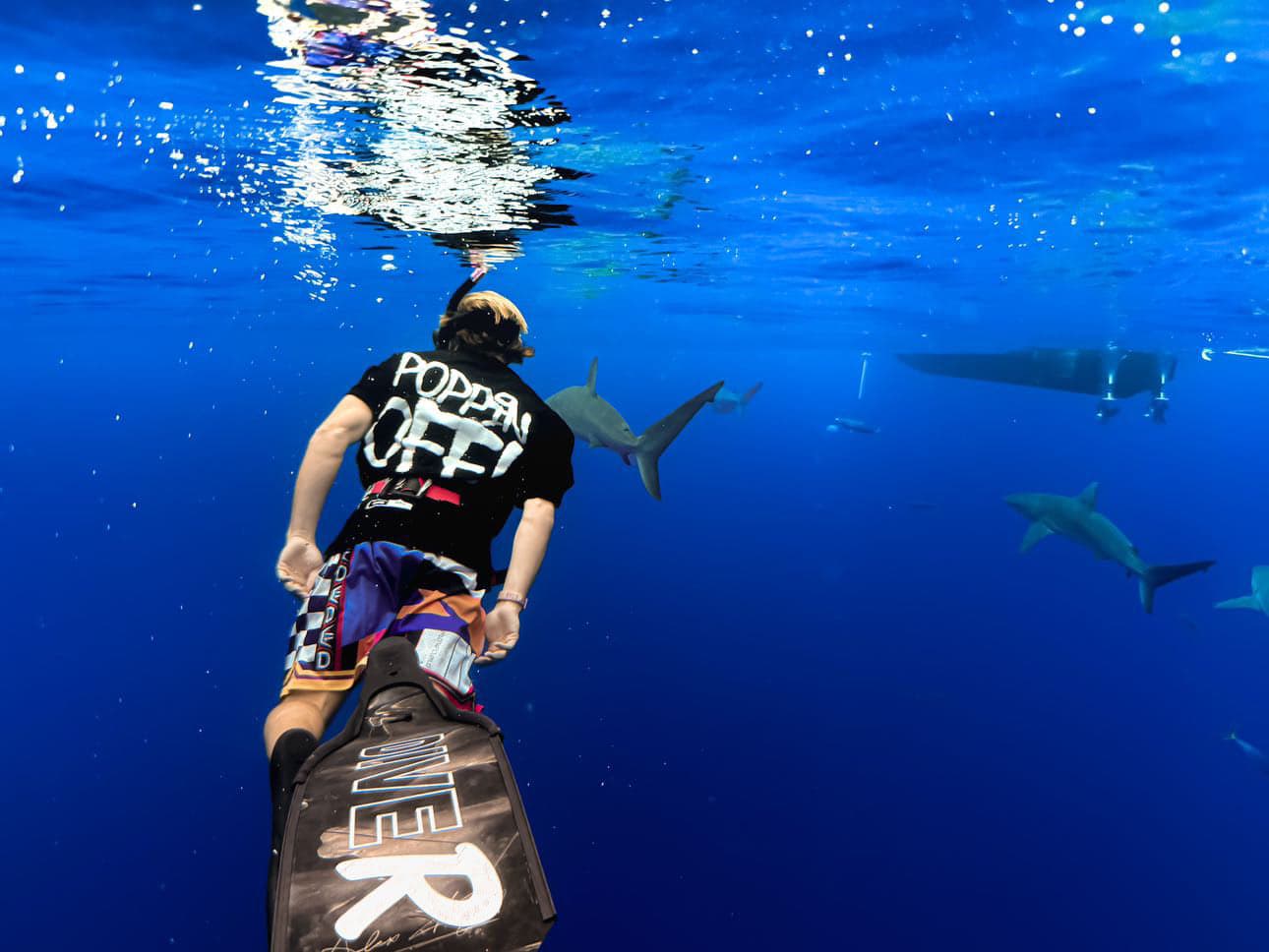 A diver swimming down through blue water toward sharks, wearing the black Poppin Off tee